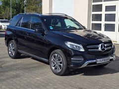 Fahrzeugabbildung GLE 350 d 4Matic Allrad StandHZG AHK El. Panodac