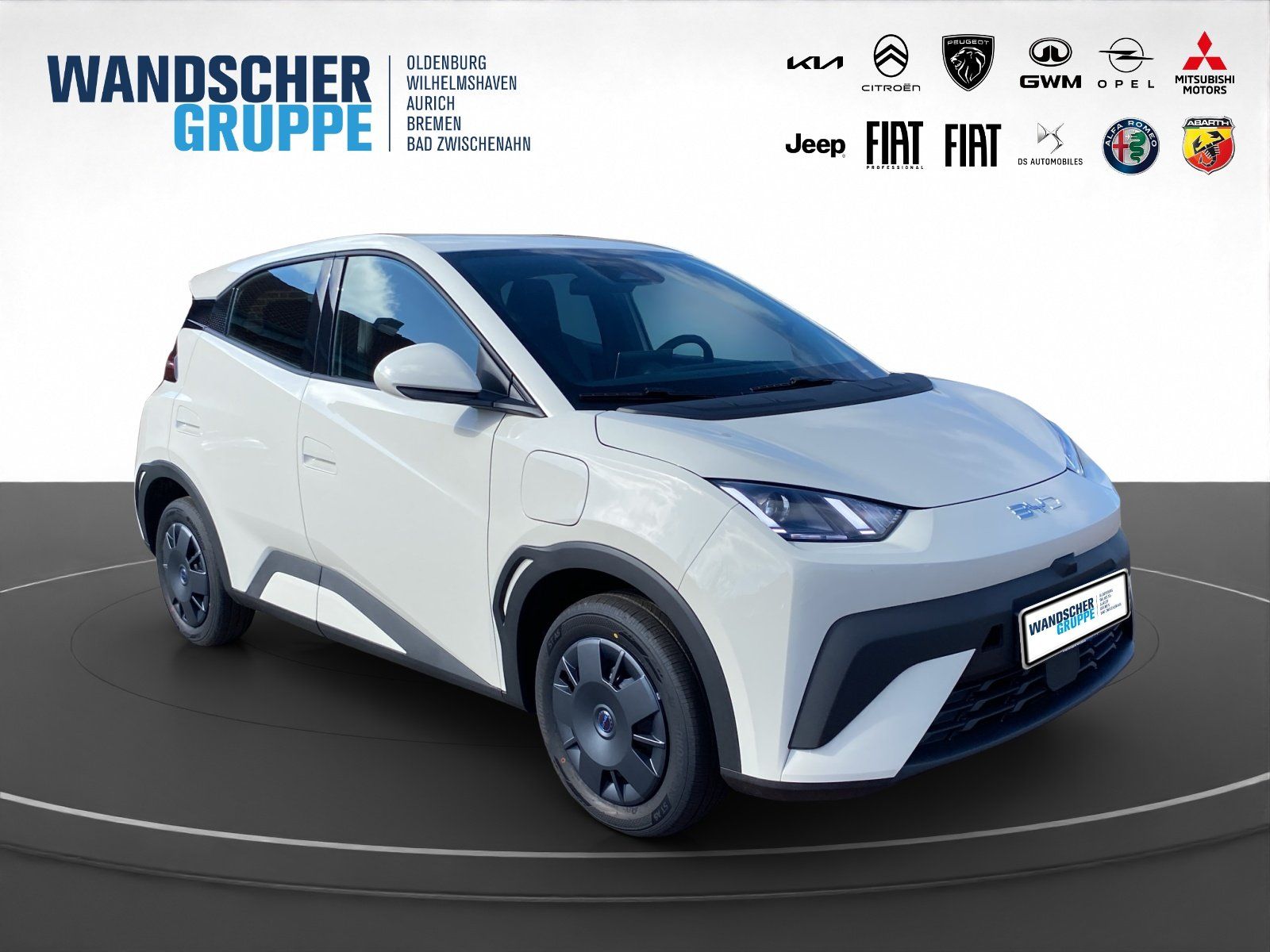 BYD DOLPHIN SURF