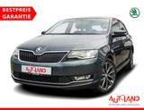 Skoda Rapid Spaceback 1.0 TSI Drive Tempomat DAB PDC - graue Skoda Rapid