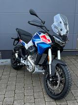 Moto Guzzi Stelvio Duecento Tributo Modell 2025!!! - Moto Guzzi Stelvio Duecento Tributo