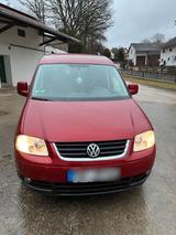 Volkswagen VW Caddy Life Camper - : Kombi, Camper