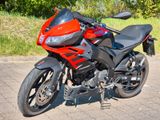Aprilia Tuono 125 tiefergelegt