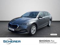 Skoda Octavia - Vorschau Bild 1