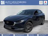 Mazda CX-30 2.0l "Selection" M-Hybrid - Mazda CX-30 Gebrauchtwagen in Berlin