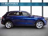 Audi Q5 sport 50 2.0 TFSI e quattro S-tronic  - Audi Q5 mit Hybrid-Antrieb