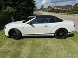 Bentley Continental GTC V8S Concours Series Black  - Bentley Continental von privat