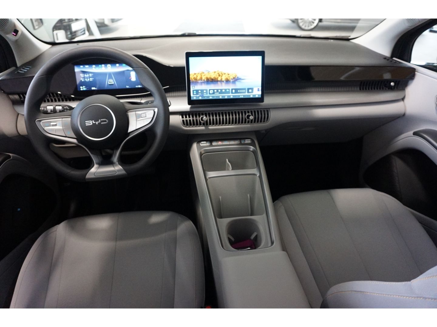 BYD DOLPHIN