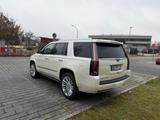 Cadillac Escalade 6.2 V8 Platinum Autom. Platinum - Cadillac Escalade: Platinum