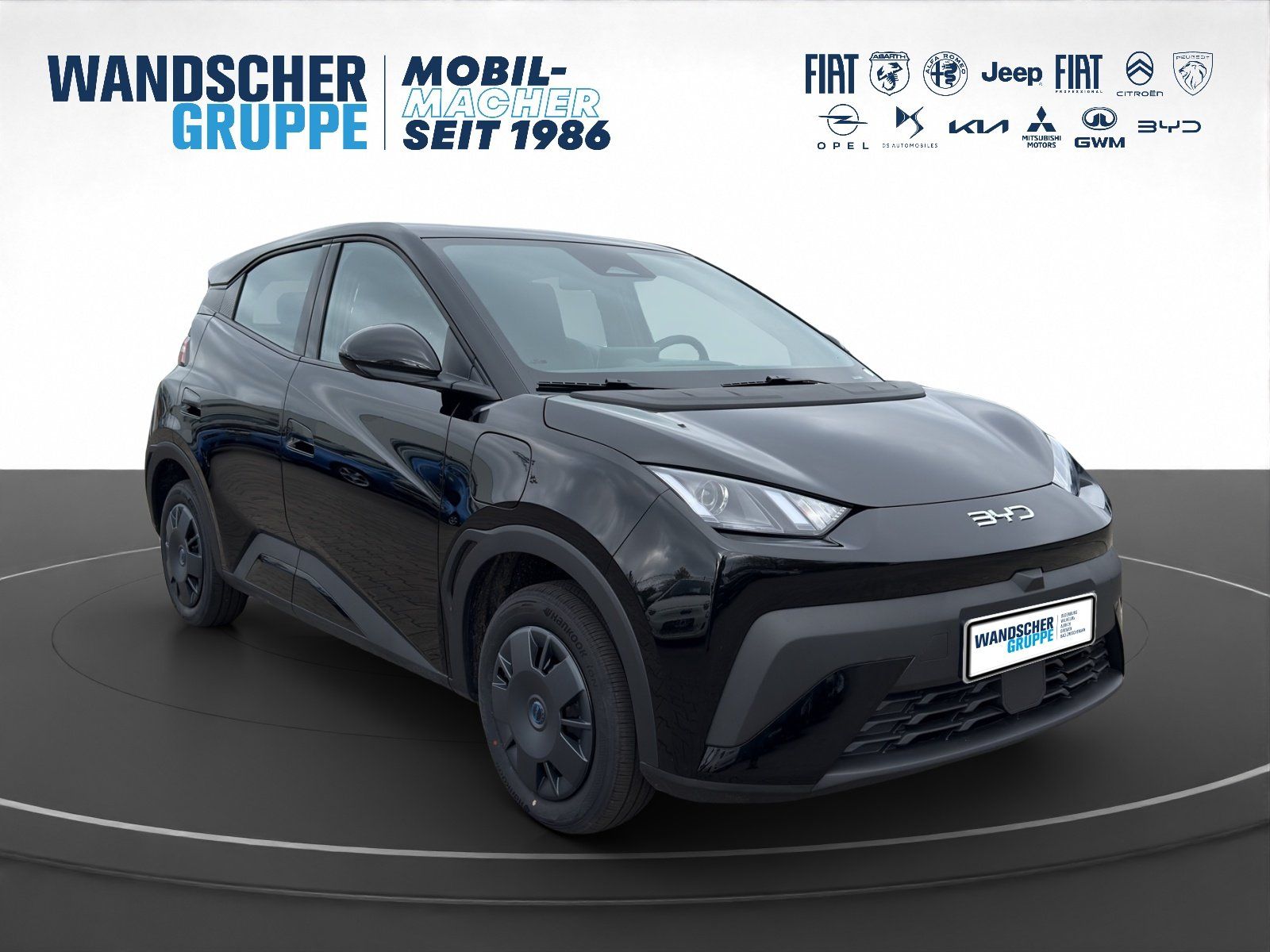 BYD DOLPHIN SURF