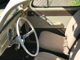 Volkswagen Käfer