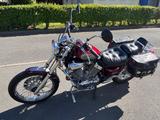 Yamaha Virago 535  - Yamaha Motorräder in Kassel