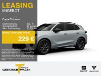 Cupra Terramar - Vorschau Bild 1