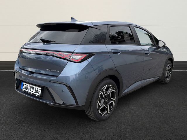 BYD Dolphin Design
