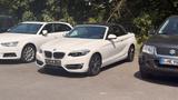 BMW 230i Steptronic Cabrio Sport Line Sport Line - BMW 230 aus 2020