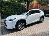Lexus NX 300h E-FOUR F SPORT  - Lexus: Nx