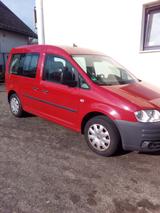 Volkswagen Caddy Life 1.9 TDI 77kW DSG 7-Sitzer - - Volkswagen Caddy mit Diesel-Antrieb: Limousine