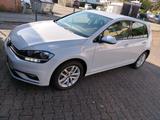Volkswagen Golf 7 125 PS 2. Hand White silver metallic - Volkswagen Golf: W12