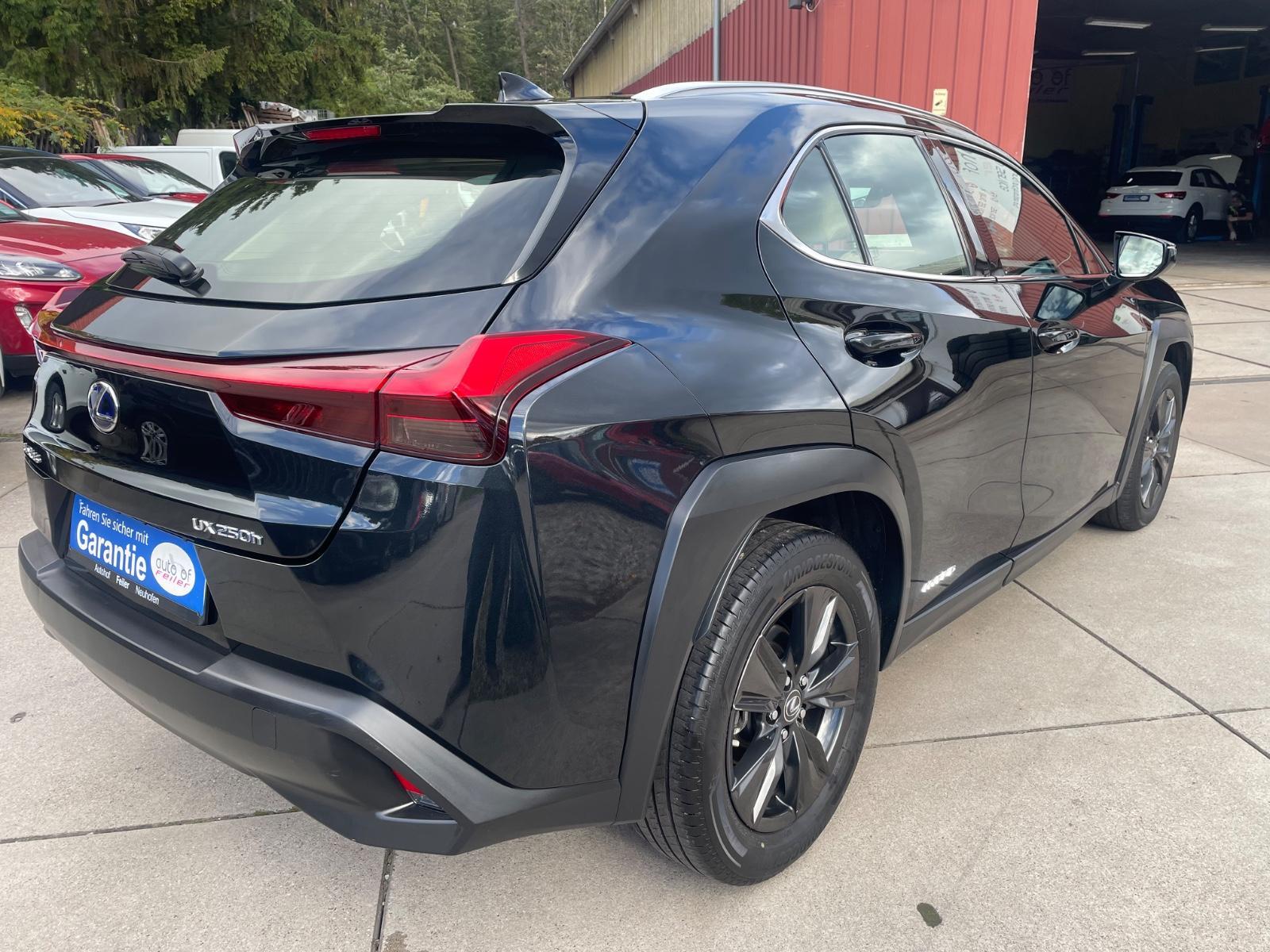 Lexus UX250H 2,0 Hybrid Automatik/Leder/Klima/Navi/Kam