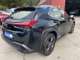 Lexus UX250H 2,0 Hybrid Automatik/Leder/Klima/Navi/Kam - Lexus UX aus 2020
