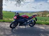Yamaha YZF R125 in Top Zustand  - YAMAHA ROT YZF R125