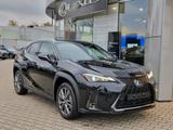 Lexus UX 300h F Sport Design ACC FLA SpurH LM - Lexus UX in Dresden