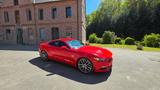 Ford Mustang 5.0 V8 GT  - Ford Mustang Gebrauchtwagen in Stuttgart