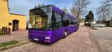 MAN Bus  - Angebote