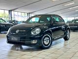 Volkswagen Beetle Lim. Cup*KLIMA*EFH*PDC*TEMPOMAT - Volkswagen Beetle: Cup