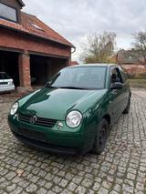 Volkswagen Lupo 1.0 COMFORTLINE Comfortline - Volkswagen Lupo: Comfortline
