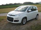 Fiat New Panda 1.2 8V LOUNGE LOUNGE - weiße Fiat New Panda