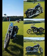 Harley-Davidson Sportster 1200 Custom - HARLEY-DAVIDSON 2004 1200 SPORTSTER