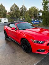 Ford Mustang Ecoboost - Ford Mustang: For