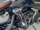 Harley-Davidson FXST Springer Softail mit Evo - HARLEY-DAVIDSON EVO