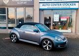 Volkswagen Beetle Cabriolet Design BMT XENON PDC ALU 18ZOLL - Volkswagen Beetle in Hannover