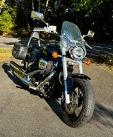 Suzuki M800 Intruder ( VZ800 ) in schwarz  - SUZUKI INTRUDER M800