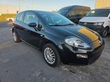 Fiat Punto 1.2 8V - Fiat Punto Gebrauchtwagen in Krefeld