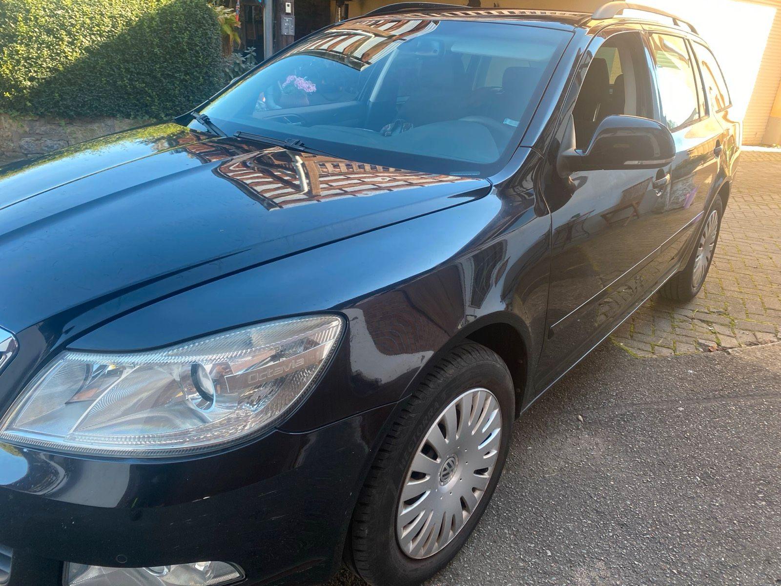 Skoda Octavia 2009 — rear view