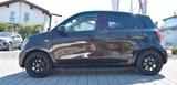 Smart ForFour forfour/Passion/Sportpaket/Pano