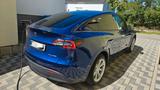 Tesla Model Y  Long Range Dual Motor AWD AHK blau/weiß - blaue Tesla Model Y