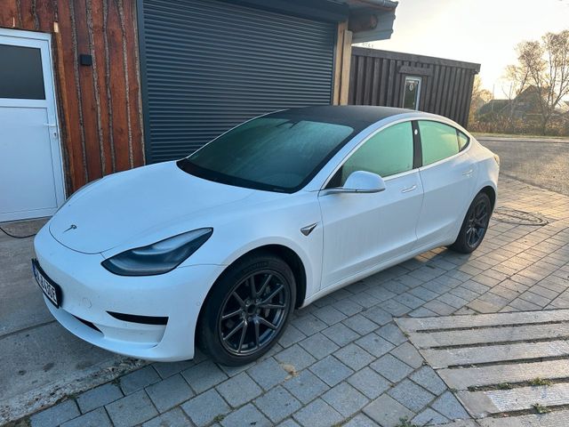 Autres Tesla Model 3 Standard Plus