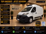 Fiat Ducato Hoch+Lang*Kühlwagen Carrier - 20C. - Fiat Ducato in Dortmund
