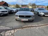 Ford Mustang 5 Coupe V6 205PS KLIMA Tempomat 17200 KM - Ford: 17m