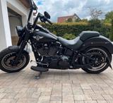 Harley-Davidson Fatboy S 11