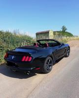 Ford Mustang 3,7l  V6. * US Import * - Ford Mustang: Cabrio, V6