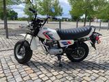 Honda CY50  - HONDA CY