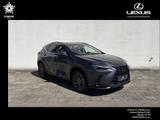 Lexus NX 450h+ E-FOUR Business - graue Lexus NX 450h