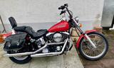 Harley-Davidson 1991 FXSTC Softail WINTERPREIS - HARLEY-DAVIDSON FXSTC
