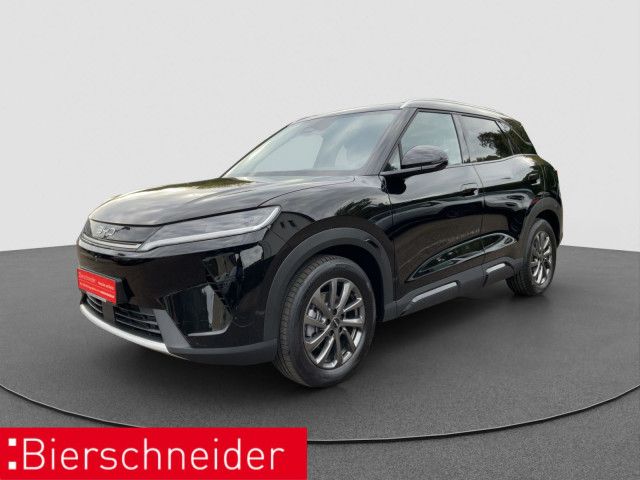 BYD ATTO 2