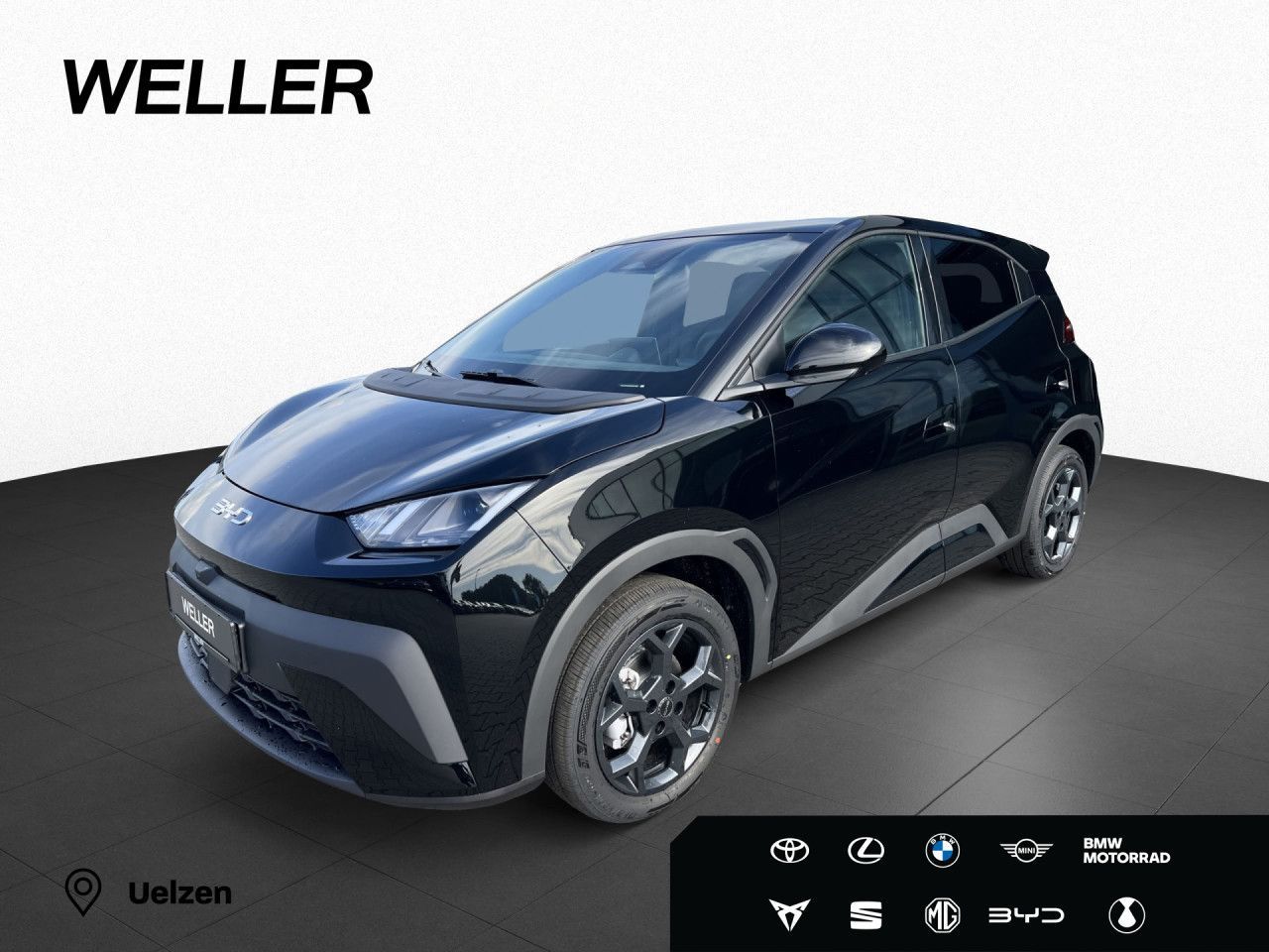 BYD DOLPHIN SURF