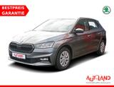 Skoda Fabia 1.0 MPI Ambition LED Tempomat SmartLink - Skoda Fabia Gebrauchtwagen in Leipzig